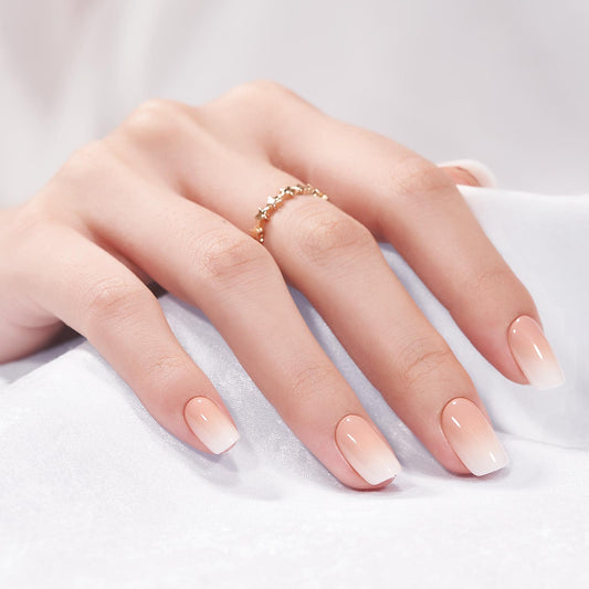 French Ombre Mini (NEW)